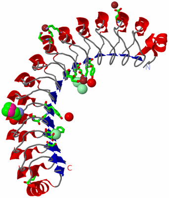 Image Asym./Biol. Unit - sites