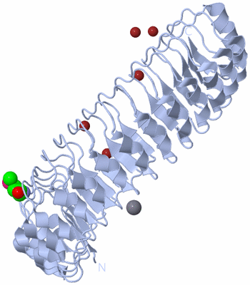 Image Biological Unit 1