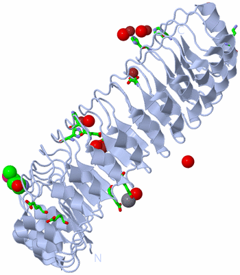 Image Biol. Unit 1 - sites