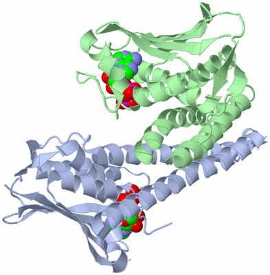 Image Asym./Biol. Unit