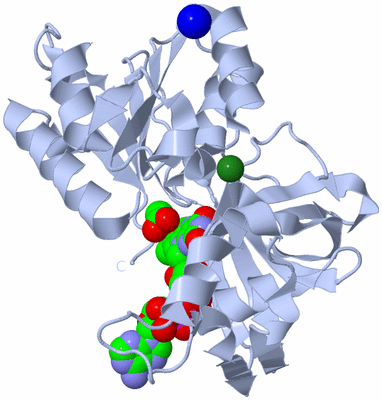 Image Biological Unit 1