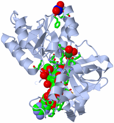 Image Biol. Unit 1 - sites