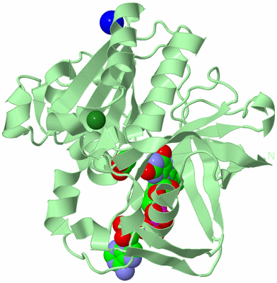 Image Biological Unit 2