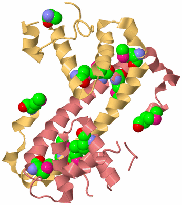 Image Biological Unit 2