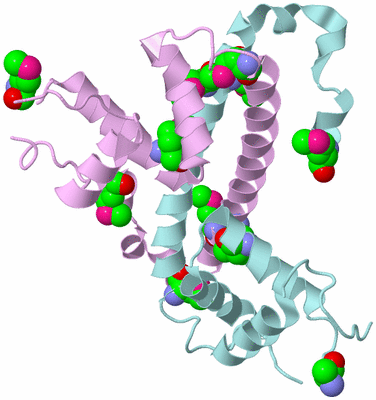 Image Biological Unit 3