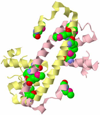 Image Biological Unit 4