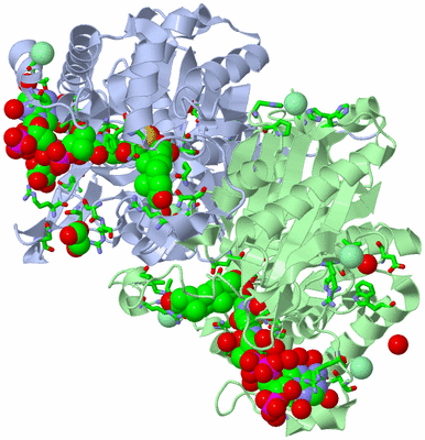 Image Biol. Unit 1 - sites