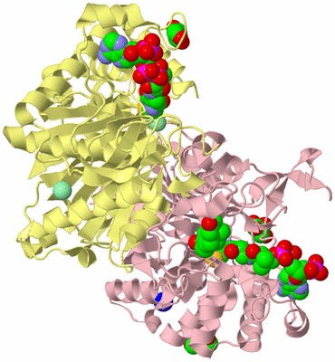 Image Biological Unit 2