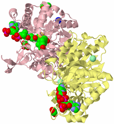 Image Biological Unit 3