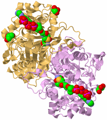 Image Biological Unit 1