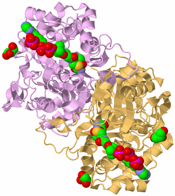 Image Biological Unit 2