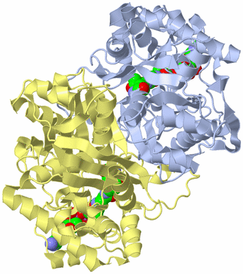 Image Biological Unit 3