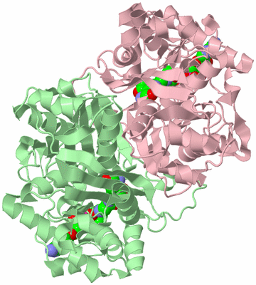 Image Biological Unit 4