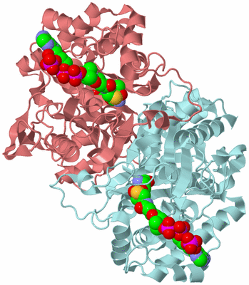 Image Biological Unit 5