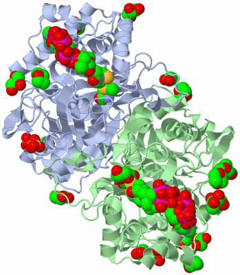 Image Asym./Biol. Unit