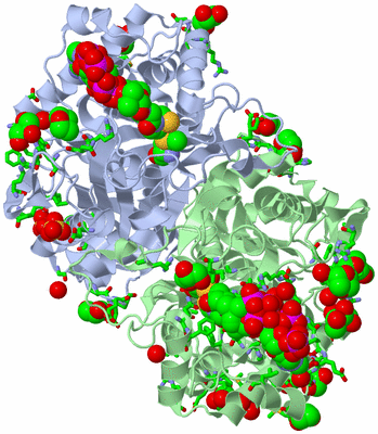 Image Asym./Biol. Unit - sites