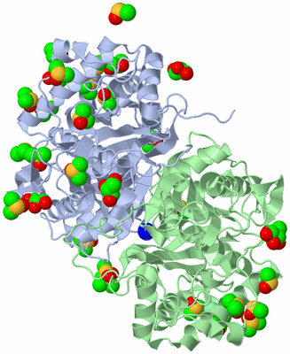 Image Asym./Biol. Unit