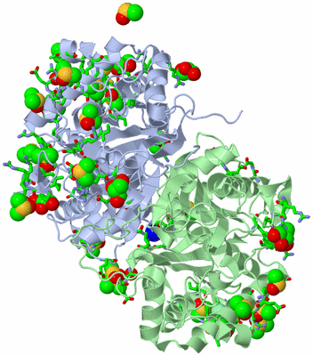 Image Asym./Biol. Unit - sites