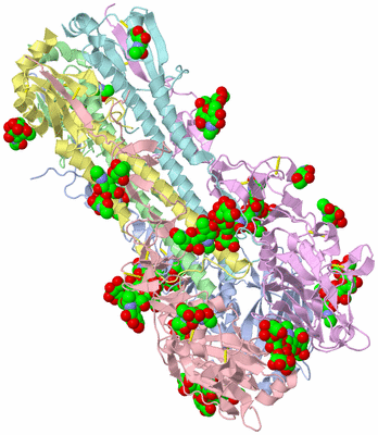 Image Asym./Biol. Unit