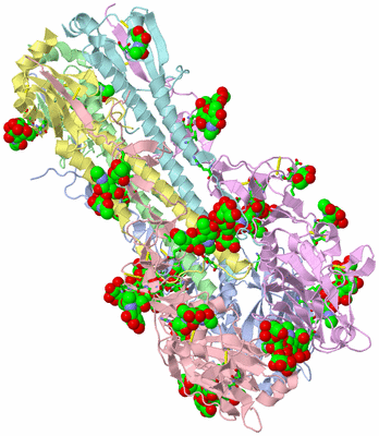 Image Asym./Biol. Unit - sites