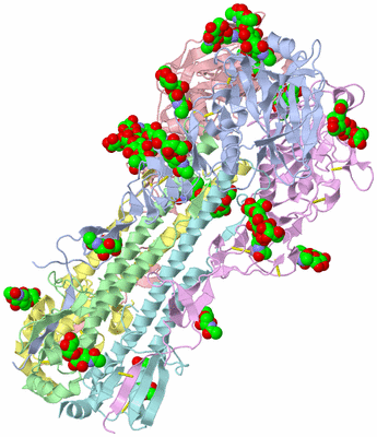 Image Asym./Biol. Unit