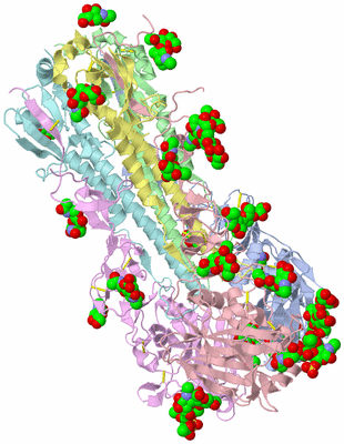 Image Asym./Biol. Unit