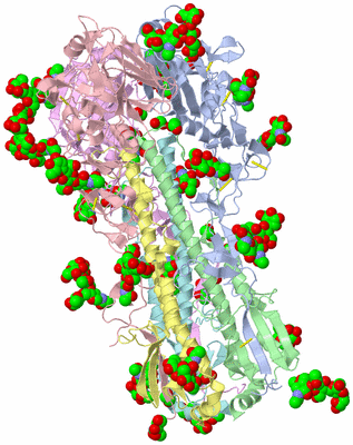 Image Asym./Biol. Unit