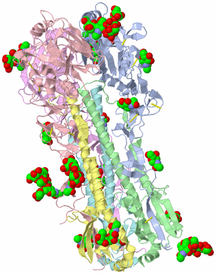 Image Asym./Biol. Unit