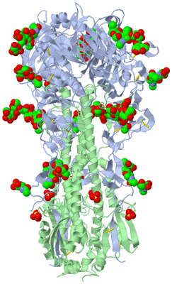 Image Biological Unit 1