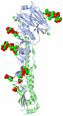 Image Asym. Unit - sites