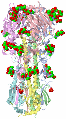 Image Asym./Biol. Unit