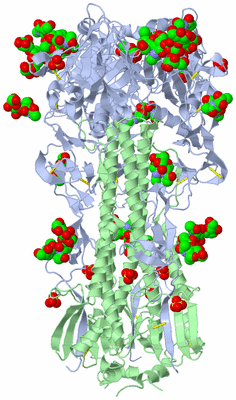 Image Biological Unit 1