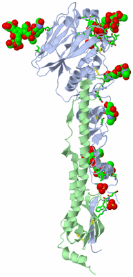 Image Asym. Unit - sites