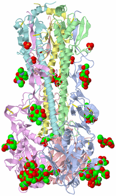 Image Asym./Biol. Unit