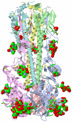 Image Asym./Biol. Unit - sites