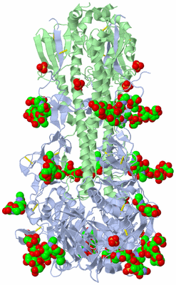 Image Biological Unit 1