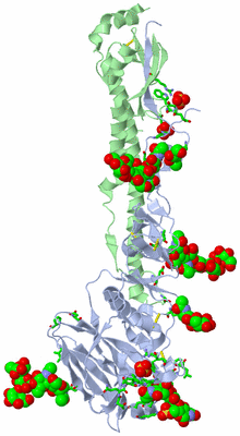 Image Asym. Unit - sites