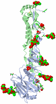 Image Asym. Unit - sites