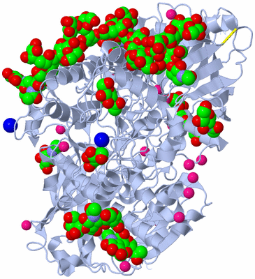 Image Biological Unit 1