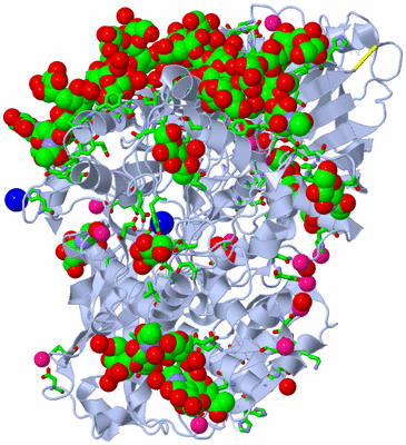 Image Biol. Unit 1 - sites