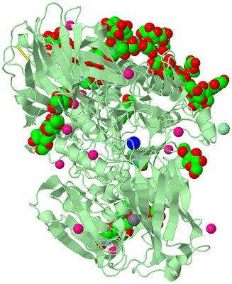 Image Biological Unit 2