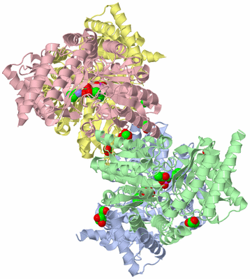 Image Asym./Biol. Unit