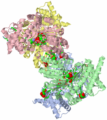 Image Asym./Biol. Unit - sites