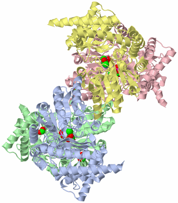 Image Asym./Biol. Unit