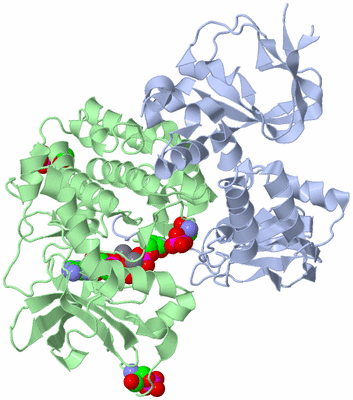 Image Asym./Biol. Unit