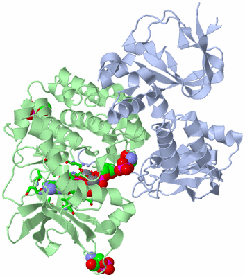 Image Asym./Biol. Unit - sites