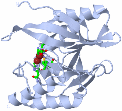 Image Biol. Unit 1 - sites