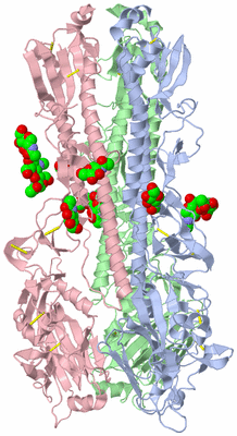 Image Biological Unit 1