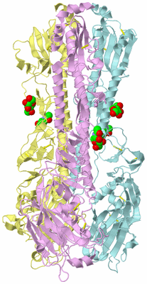 Image Biological Unit 2