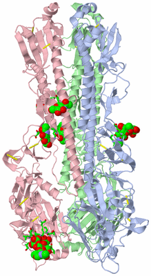 Image Biol. Unit 1 - sites